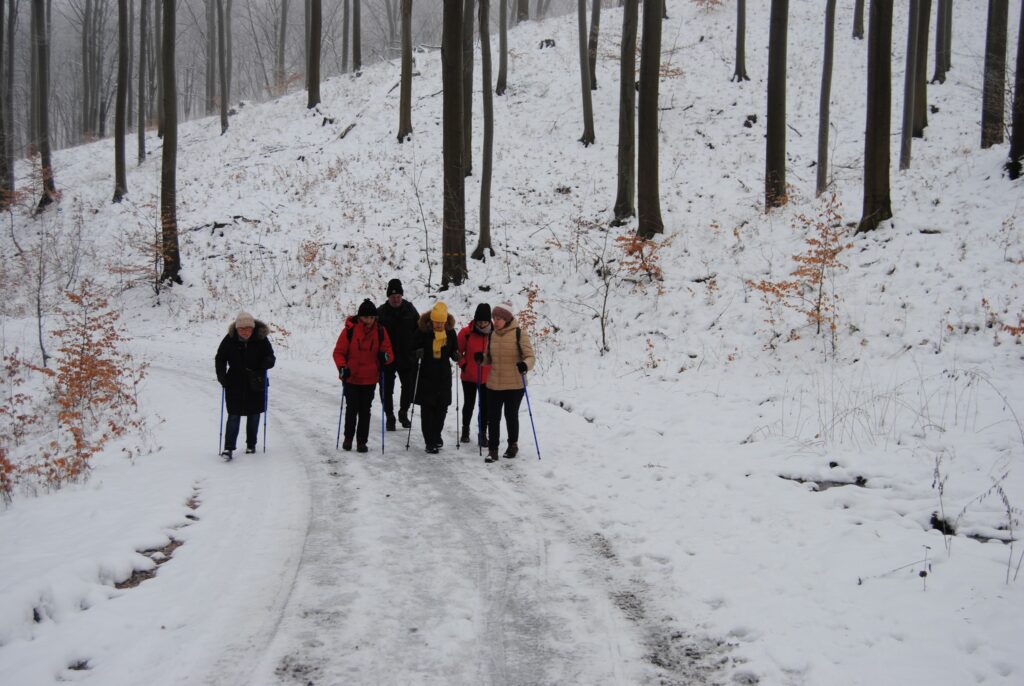 Grupa seniorów spaceruje przez las zimą