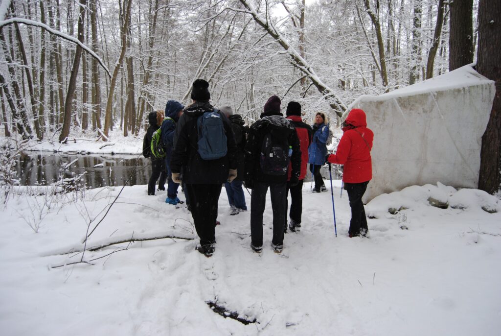 Seniorzy spacerujący w lesie zimą