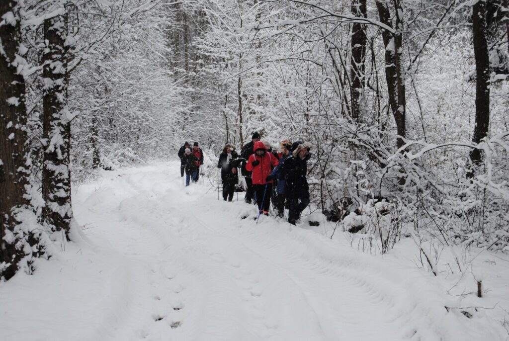 Seniorzy spacerujący w lesie zimą