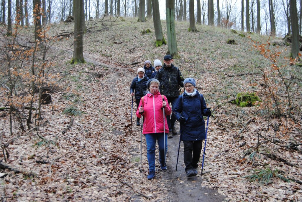 seniorzy spacerują w lesie