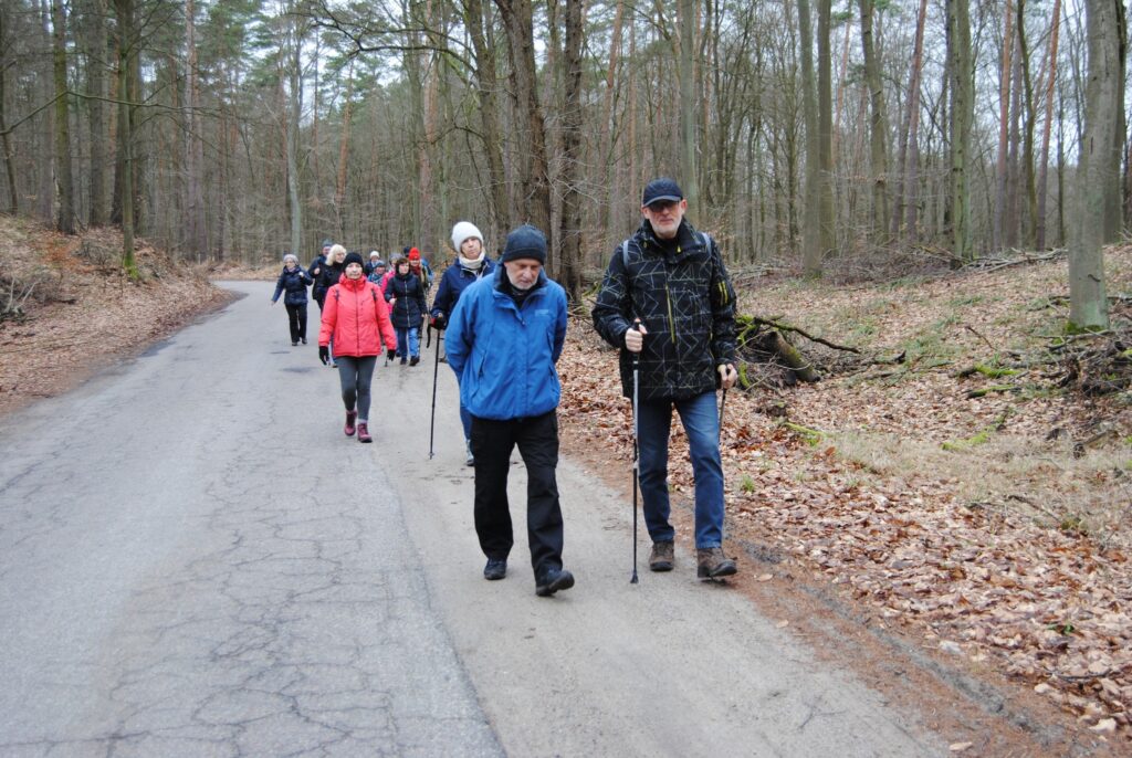 seniorzy spacerują w lesie