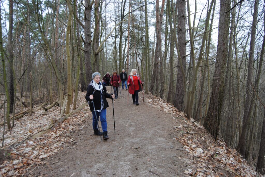 seniorzy spacerują po lesie