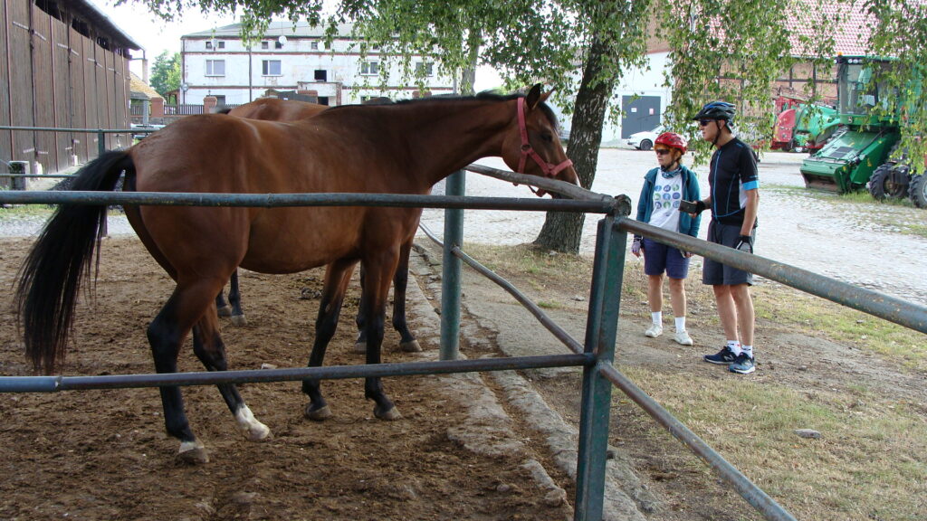 Seniorzy na rajdzie rowerowym do Morynia

