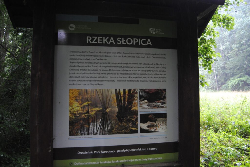 seniorzy na wycieczce geologicznej