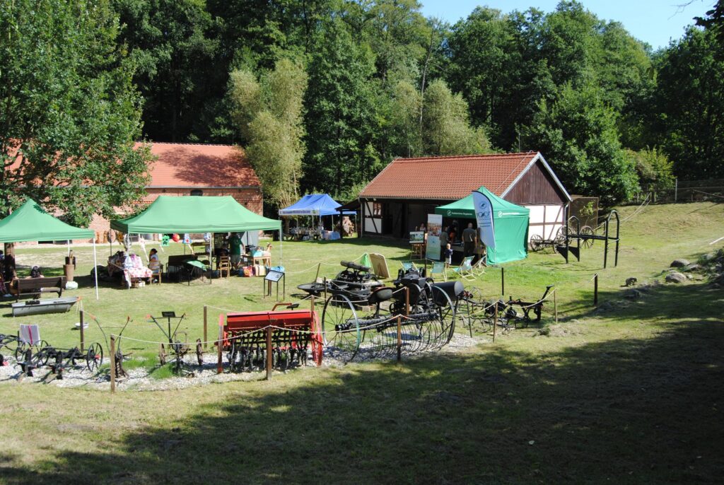 seniorzy na Święcie Chleba w Bogdańcu