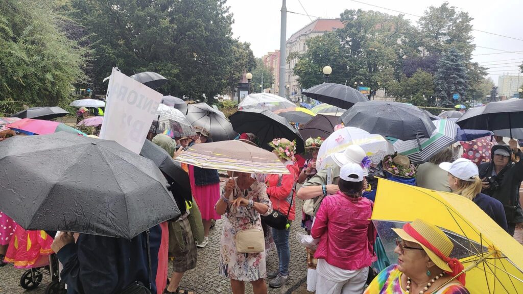 IV Tydzień Inicjatyw Senioralnych