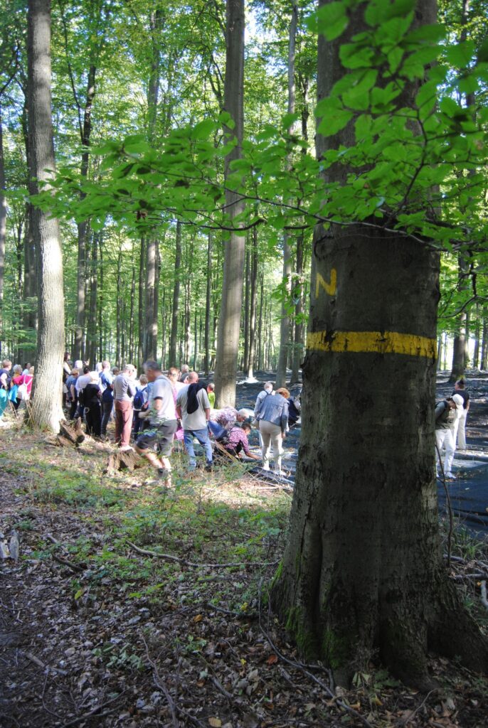 seniorzy na wycieczce zorganizowanej przez Nadleśnictwo Gryfino