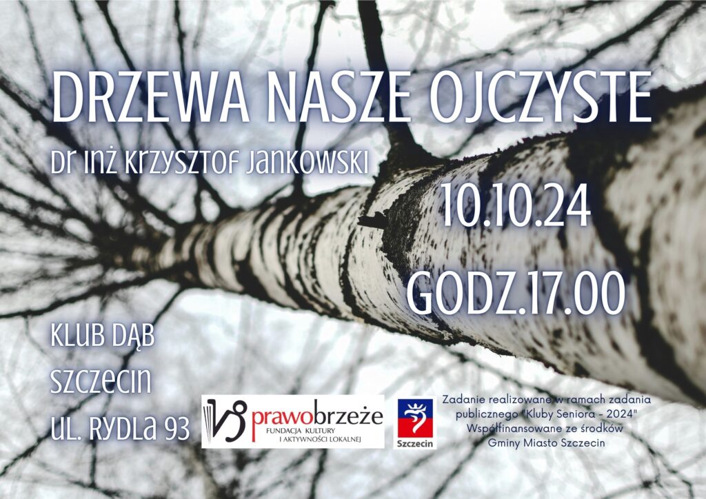 zdjęcie przedstawia pień brzozy