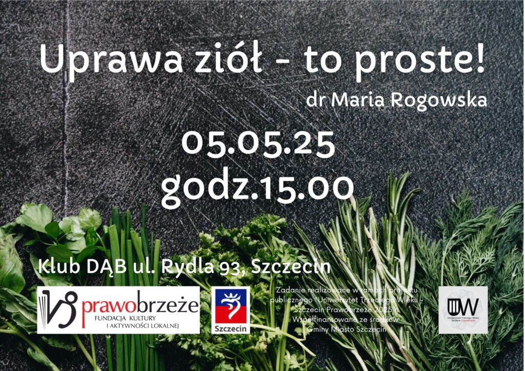 zdjęcie przedstawia różnego rodzaju zioła