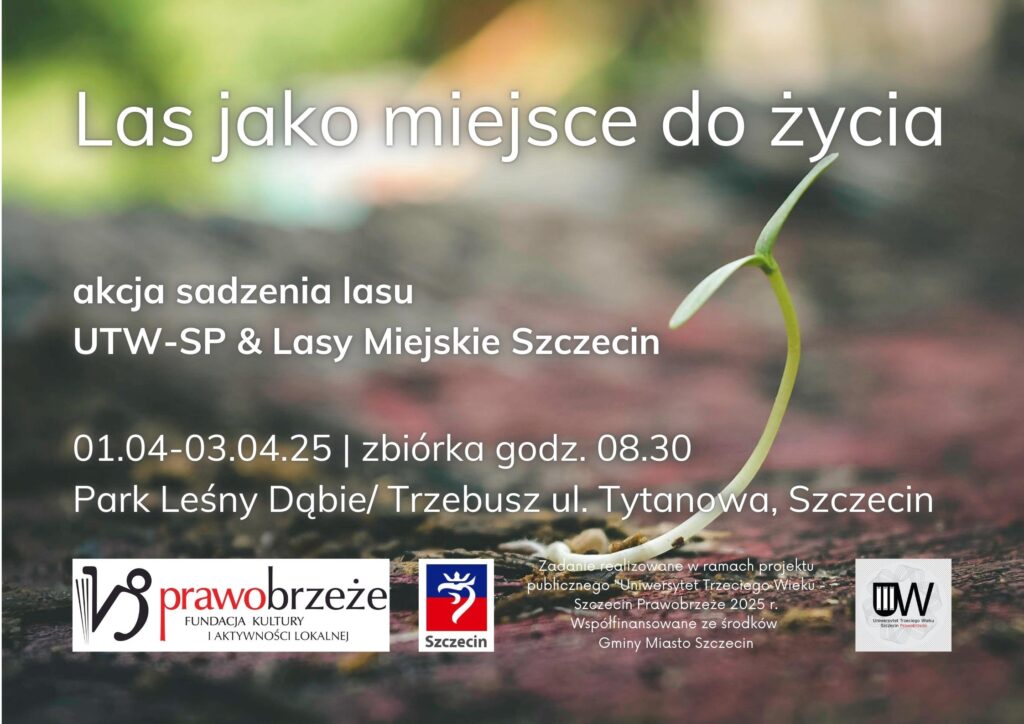 zdjęcie przedstawia małą roślinkę