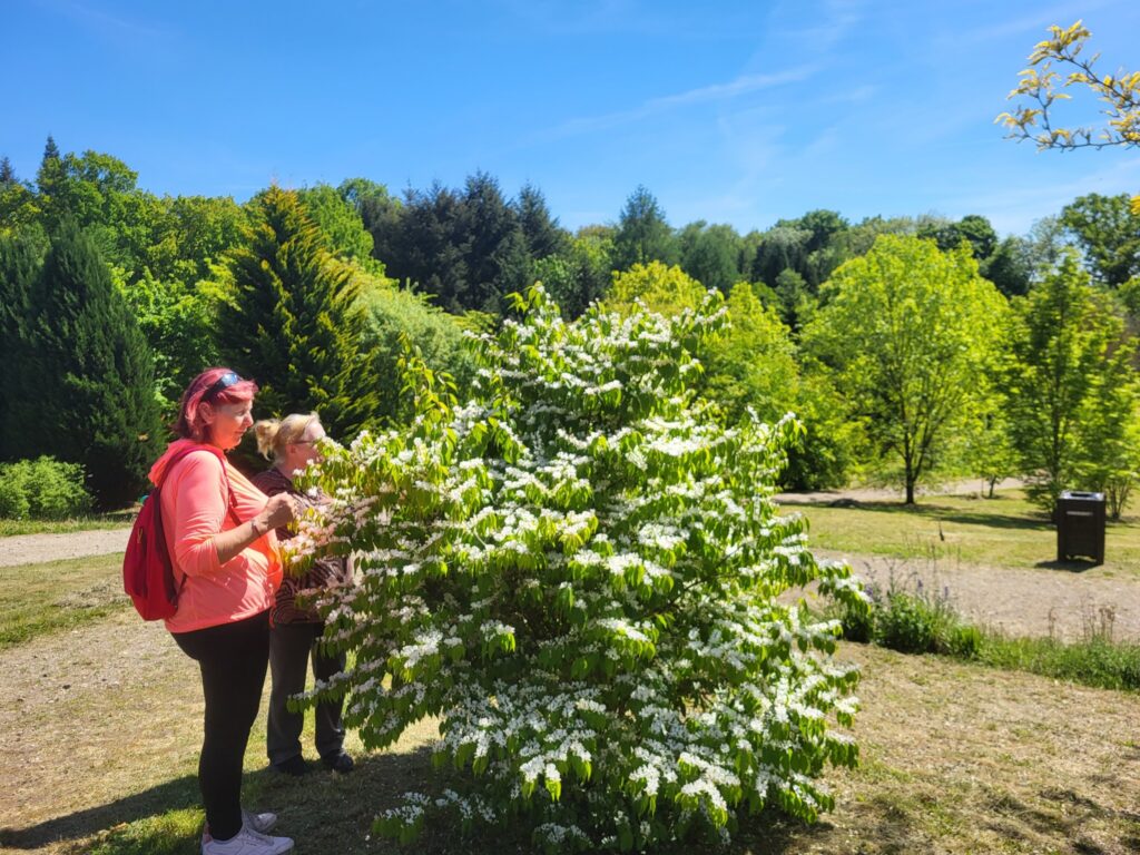 impreza plenerowa Klubu Seniora "Dąb" w Ogrodzie Dendrologicznym w Glinnej