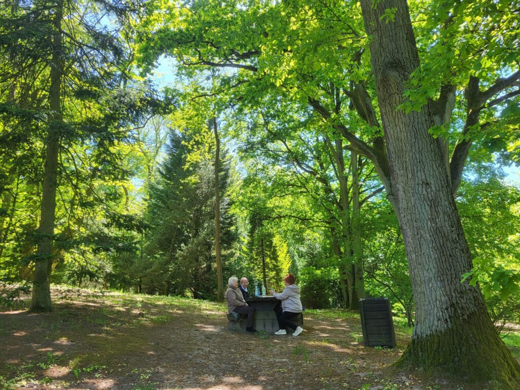 impreza plenerowa Klubu Seniora "Dąb" w Ogrodzie Dendrologicznym w Glinnej