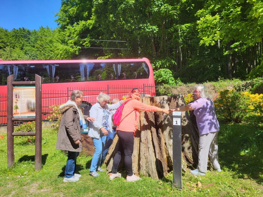 impreza plenerowa Klubu Seniora "Dąb" w Ogrodzie Dendrologicznym w Glinnej