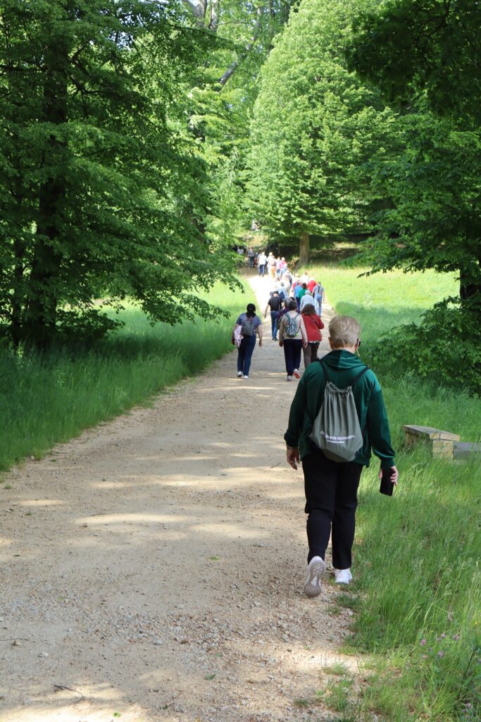 Zdjęcie przedstawia seniorów spacerujących po Parku Mużakowskim