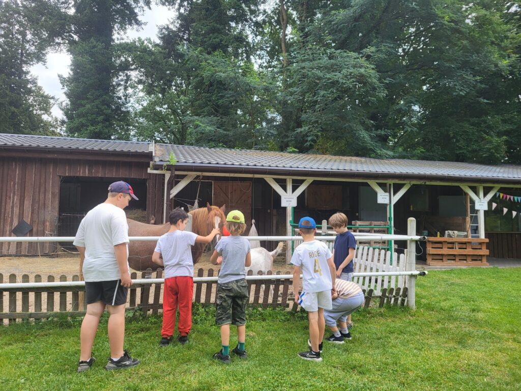 zdjęcie przedstawia uczestników "Aktywnych wakacji z Fundacją"