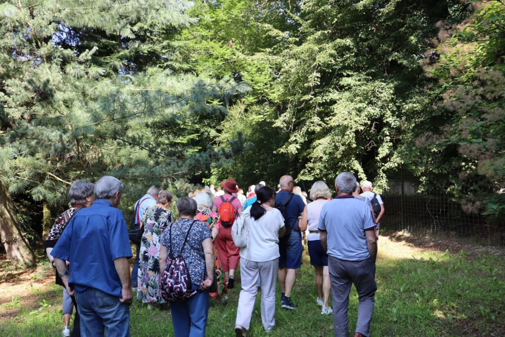zdjęcie przedstawia uczestników wycieczki zwiedzających ogród dendrologiczny w Nadleśnictwie Mieszkowice