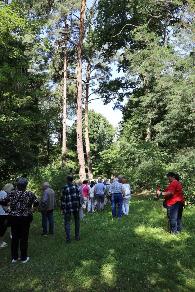 zdjęcie przedstawia uczestników wycieczki zwiedzających ogród dendrologiczny w Nadleśnictwie Mieszkowice